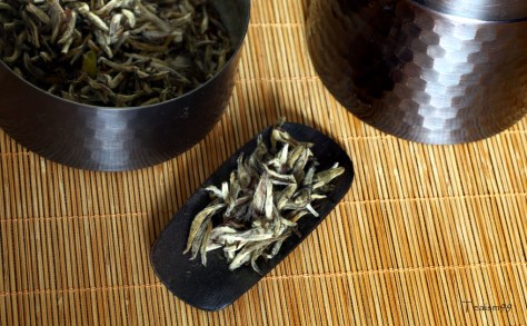 Wild white tea from Fuding, Fujian