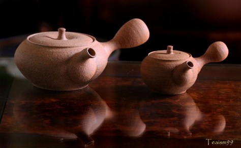 Shigaraki Kyusu by Masaki Tachi